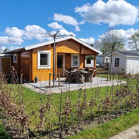 Nieuw - Luxe Blokhut Chalet In Bosrijke Omgeving Anloo ภายนอก รูปภาพ