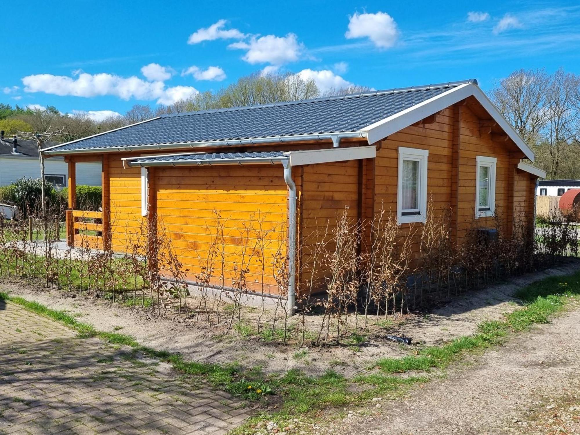 Nieuw - Luxe Blokhut Chalet In Bosrijke Omgeving Anloo ภายนอก รูปภาพ