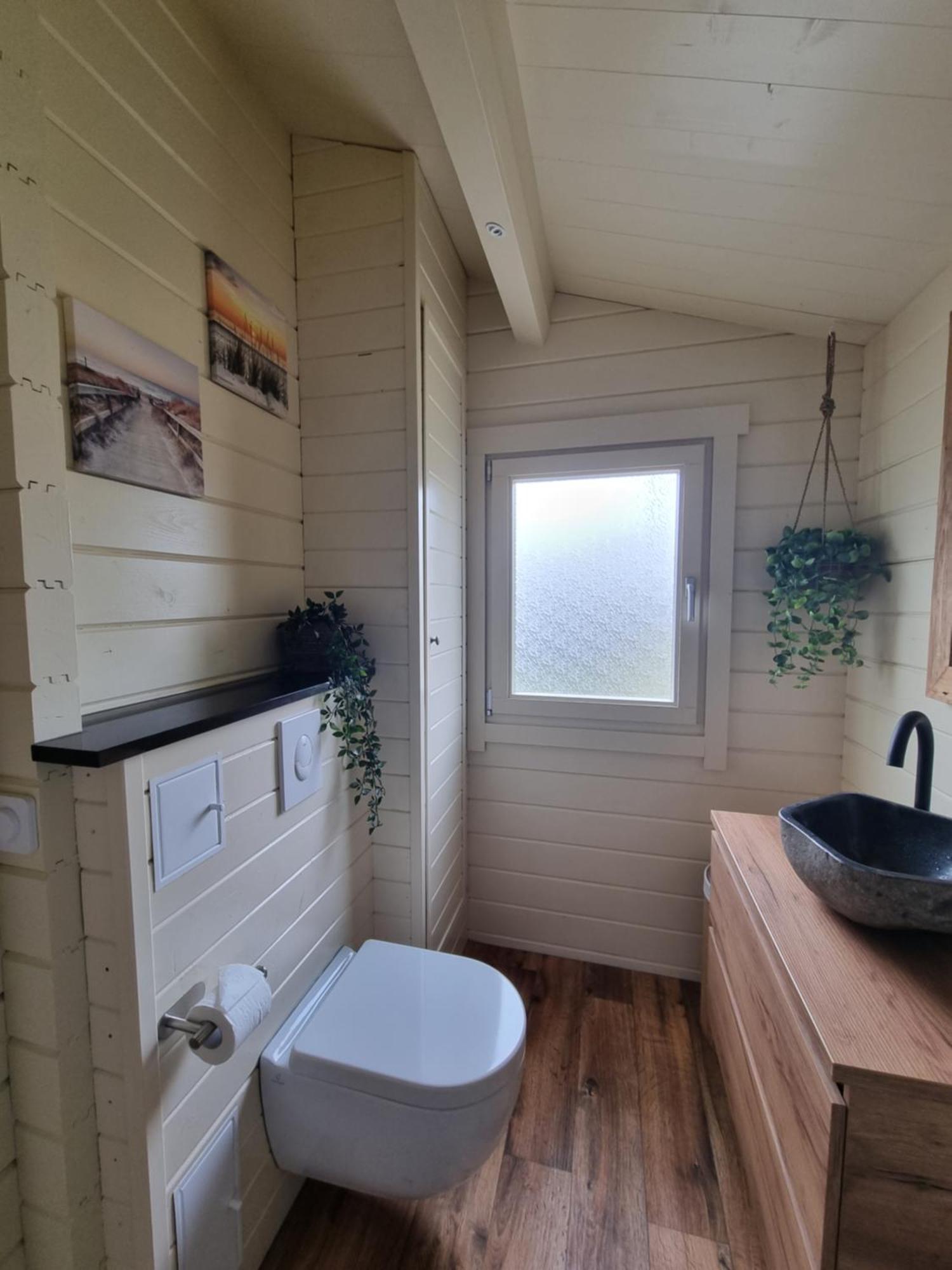 Nieuw - Luxe Blokhut Chalet In Bosrijke Omgeving Anloo ภายนอก รูปภาพ
