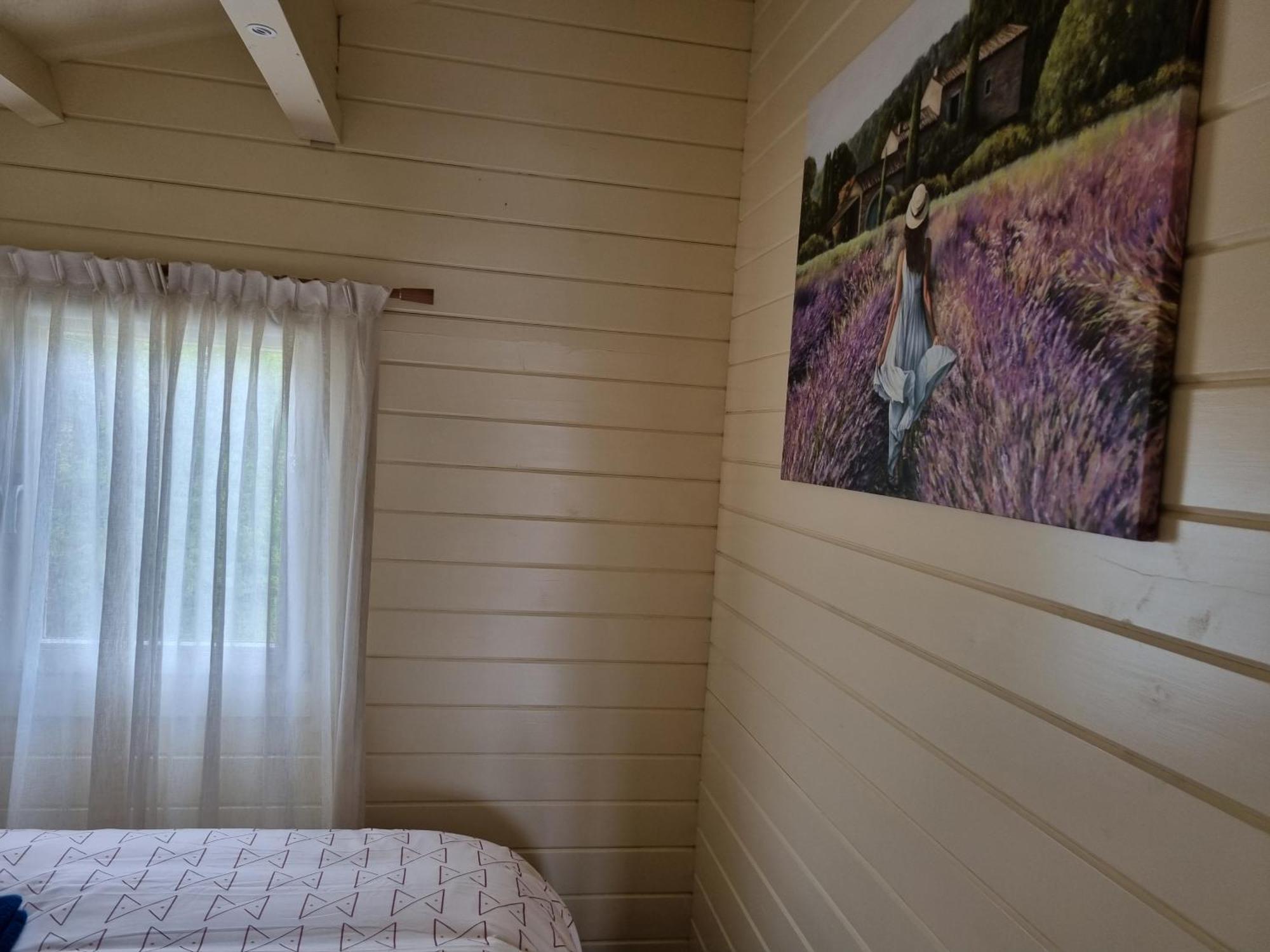 Nieuw - Luxe Blokhut Chalet In Bosrijke Omgeving Anloo ภายนอก รูปภาพ
